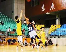 包含篮球赛事热情愈燃烈，贵州主场统治力逐渐崛起，全心全意的词条