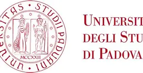 包含帕多瓦队员荣获最佳射手称号，成为焦点人物的词条
