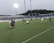 包含帕多瓦队员荣获最佳射手称号，成为焦点人物的词条